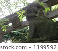 石獅 石獅子 鳥居 1199592