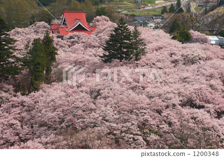 高田城遺址公園景觀 高田城遺址公園景觀 1200348
