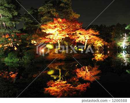 金澤城 -  Kenrokuen花園在秋天點亮 1200388