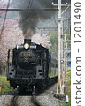Sakura and Pareo Express 1201490
