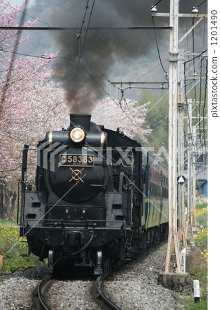 Sakura and Pareo Express 1201490
