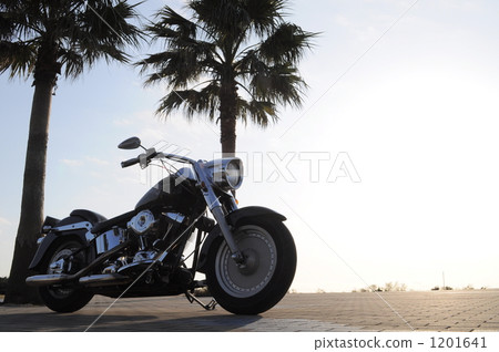 美國自行車 1201641