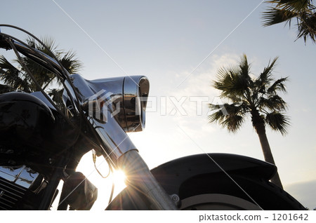 哈利戴維森 1201642