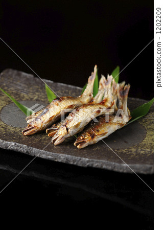 Ayu（香魚）01 1202209