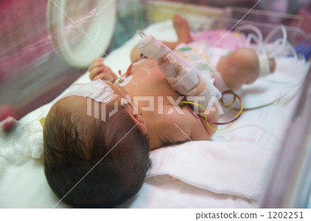 Incubator Incubator 1202251