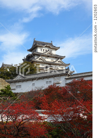 姬路城堡 1202603