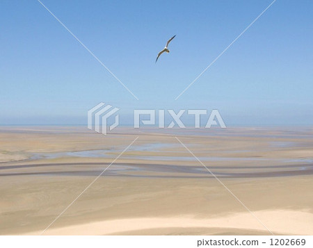 Mont聖米歇爾海灣看法從世界遺產名錄聖米歇爾山的 1202669