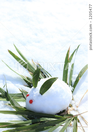 一隻雪兔 一隻雪兔 1205477