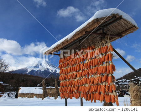 玉米和富士山 1206141