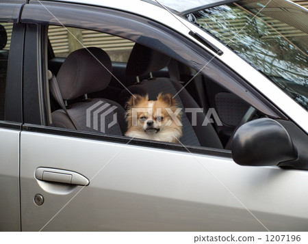 待出發 待出發 1207196