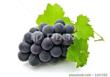 巨大的高峰 巨大的高峰 1207285