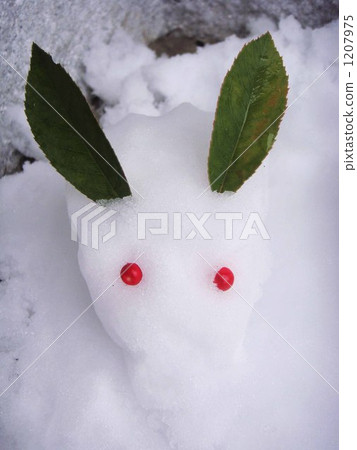 一隻雪兔 一隻雪兔 1207975