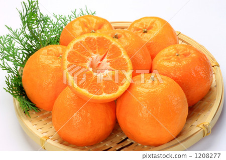 椪柑 椪柑 1208277