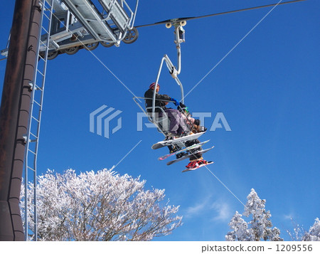 snowboard, snowboarding, frost covered tree 1209556