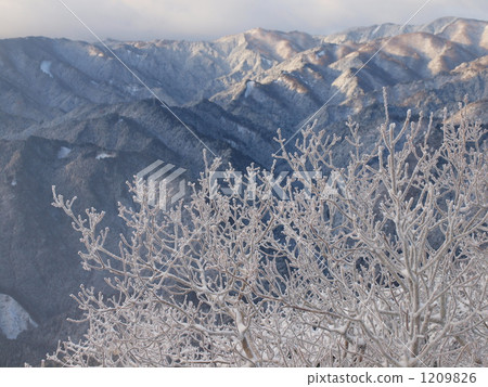 Mt. Tsengagatake, from the summit of the mountain 1209826