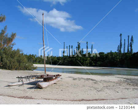 Ile des panwinsin naturale Ile des panwinsin naturale 1210144