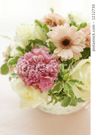 bloom, blossom, blossoms 1212730