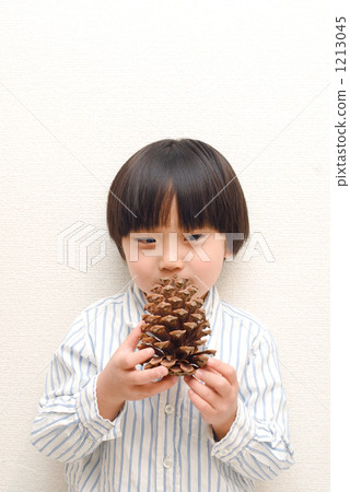 kid, younger, pinecone 1213045