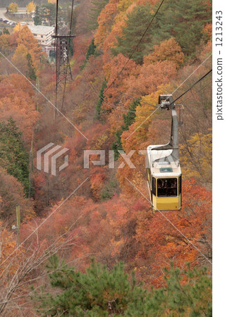 Red leaves sightseeing ropeway of Shinsen Gorges Red leaves sightseeing ropeway of Shinsen Gorges 1213243