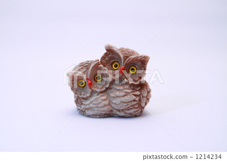貓頭鷹 貓頭鷹 1214234