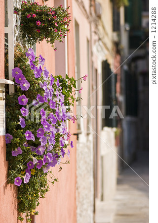 Entrance Entrance 1214288