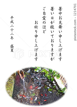 炎熱的夏天·金魚觀賞 炎熱的夏天·金魚觀賞 1214701