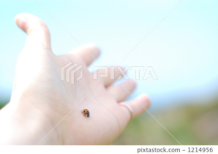 走向未來 1214956