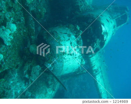 Japanese fighter sleeping in the sea 1214989