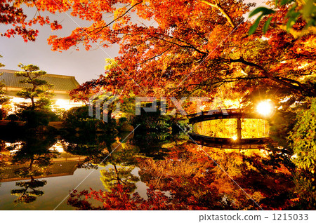 The autumn leaves light up at Chofu garden The autumn leaves light up at Chofu garden 1215033