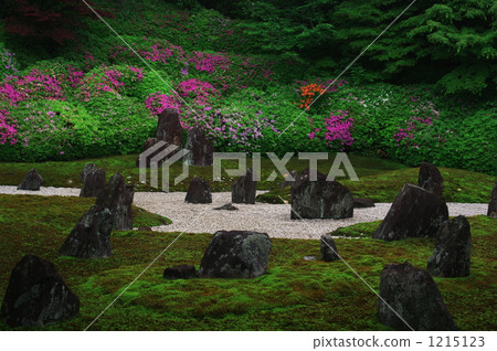 花園 杜鵑花 花朵 1215123