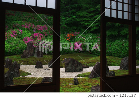 garden, landscaping, azalea 1215127