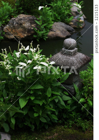 Half-summer blooming garden 1215133