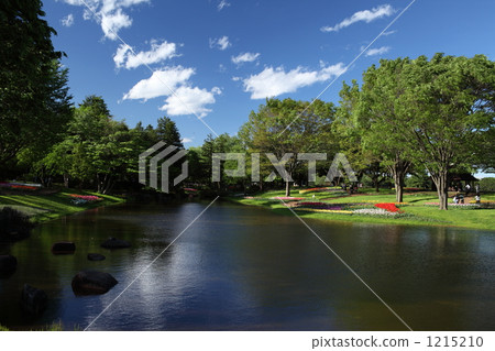Spring in the park 1215210