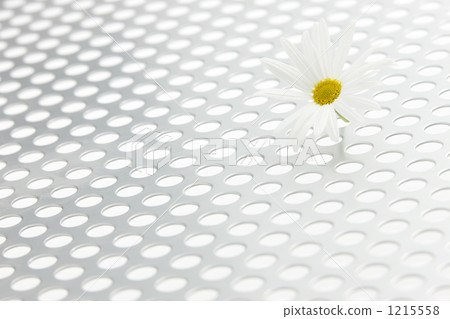 punching metal  1215558