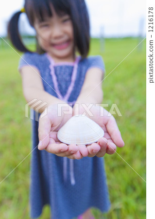 女性 殼 手 1216178