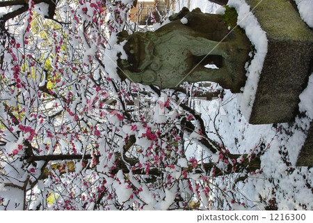 涼爽多雪的風景 1216300