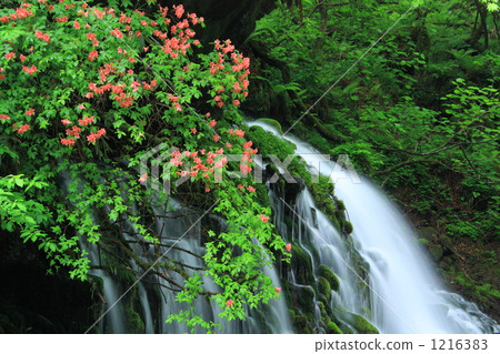 Former falls of fresh green Feng Shui water and Riki Azalea Former falls of fresh green Feng Shui water and Riki Azalea 1216383