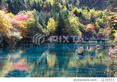 神秘的湖泊和沼澤 1216551