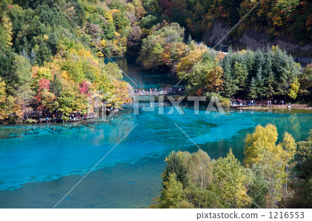 Mysterious lakes and swamps Mysterious lakes and swamps 1216553