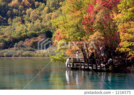 神秘的湖泊和沼澤 1216575