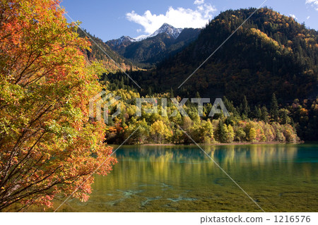 神秘的湖泊和沼澤 1216576