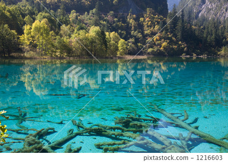 Mysterious lakes and swamps 1216603
