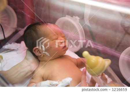 Newborn drinking milk Newborn drinking milk 1216659