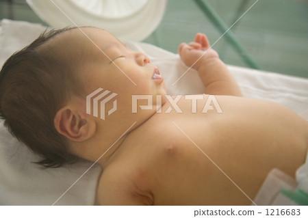 新生兒在孵化器中 1216683