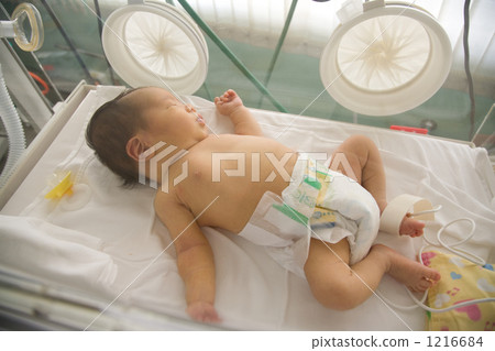 新生兒在孵化器中 1216684