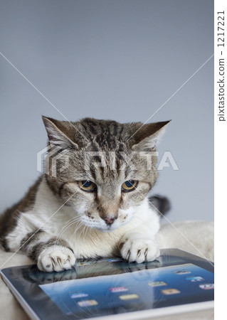 tablet computer, net, nets 1217221