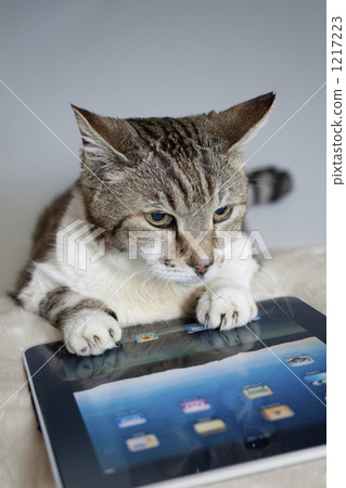 tablet computer, net, nets 1217223