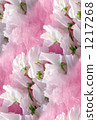 Sweet Sweet Pea 1217268