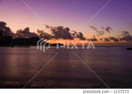 Diamond head purple 1217273