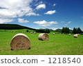 hay roll, pasture, meadow 1218540